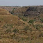 A devastação retorna à pauta: entre a derrota política e o risco sistêmico
