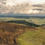 O “Fantasma do Pampa” contra as síndromes do Jornalismo Ambiental