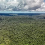 Amazônia Legal sob o bolsonarismo: importância e desafios de uma cobertura alinhada aos pressupostos do Jornalismo Ambiental
