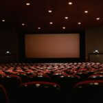 Lições de democracia na sala de cinema